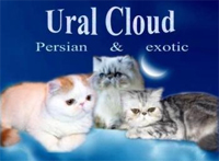 Ural Cloud