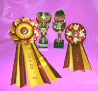 [awards]