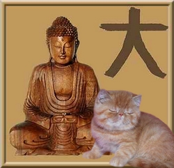 Little Buddha with Buddha